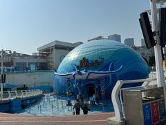 -海合安青岛极地海洋公园
