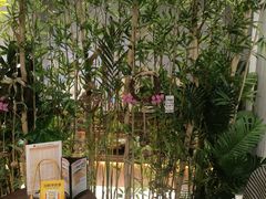 -施奈儿.洗头頭療.按摩SPA.采耳(上梅林店)