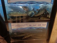 -舒来喜鱼锅(伊河路店)