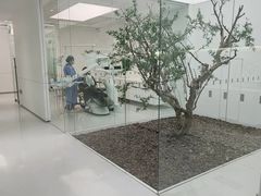 -极简口腔(总院)