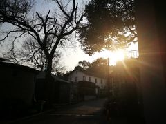-凤凰御元艺术基地