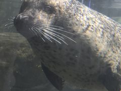 -福州罗源湾海洋世界旅游区