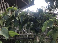 -梅峰山地公园