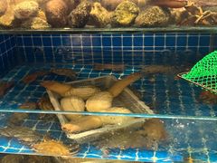 -健眺小海鲜(临海后山店)