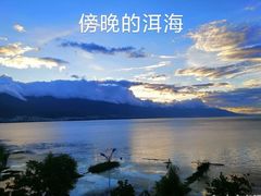 -野菌皇海景野生菌火锅(滨海大道店)