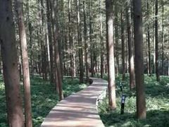 -上海怡沁园度假酒店