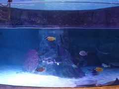 -沈阳海洋探索中心