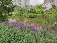 -上清·三文鱼鲜寿司(同德店)