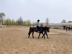 -北京群众马术培训基地