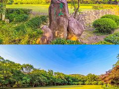 -白马涧龙池景区