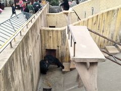 -东方熊牧场