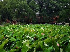 -丝绸小镇荻港古村