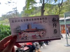 -八大处公园