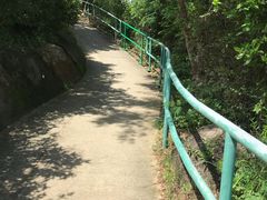 -南丫岛