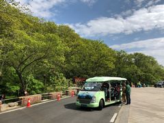 -内乡宝天曼生态旅游区