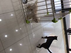 -惠康宠物医院(华能路店)