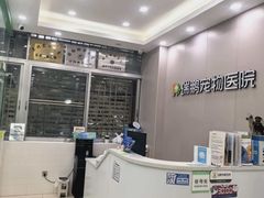 -瑞鹏宠物医院华南总院·夜诊·心脏科·骨科