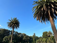 -墨尔本皇家植物园