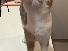 -立德动物医院·24小时中心(番禺区院区)