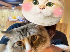 -白兔子密室(长寿路店)