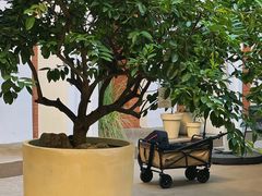 -洪小鹏生活美学馆(领SHOW天地店)