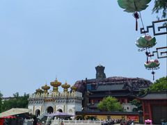 -上海东林寺(金山区)