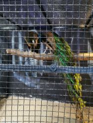 -酷嗒动物文化乐园(cutezoo西溪乐天城店)