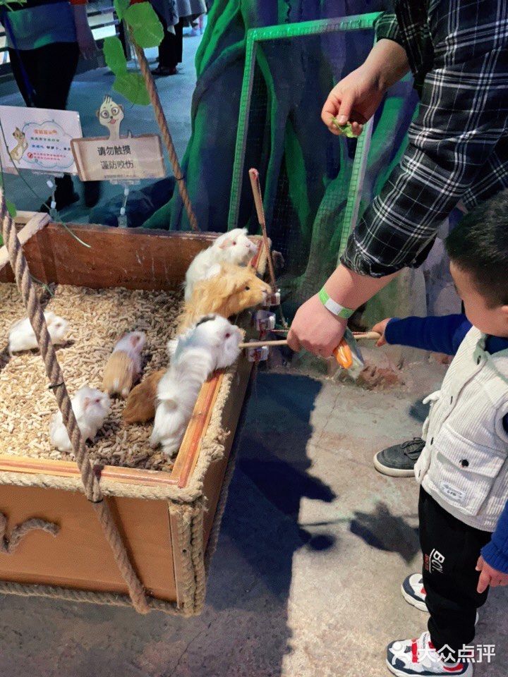 周末溜娃好去处~娃开心，你想做啥就做啥