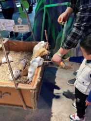 -酷嗒动物文化乐园(cutezoo西溪乐天城店)