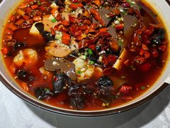 毛血旺-雲蜀龙阁·金牌水煮鱼(方庄店)