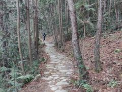 -黄陂区野村谷景区