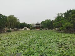 -莲池书院博物馆