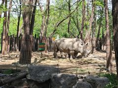 -北京野生动物园