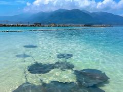 -海南分界洲岛旅游区