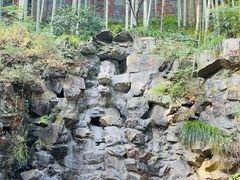 -灵隐飞来峰景区