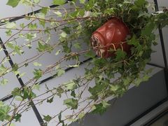 -万商花鸟市场