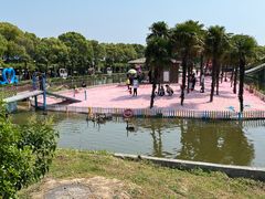 -苏州太湖西山岛开心农场