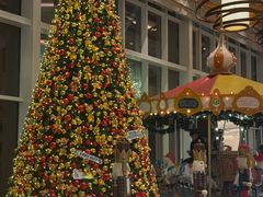 -上海嘉里健身Kerry Sports Shanghai