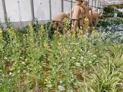 -兴芮温泉度假区