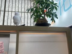-长风拨筋养身(金虹桥店)