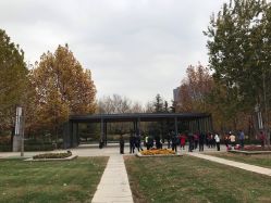 -大望京儿童游乐场