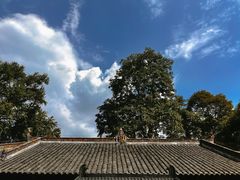 -缙云山景区