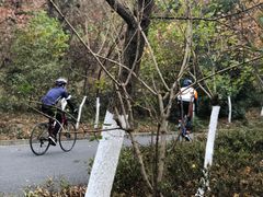 -幕燕滨江·长江观音景区