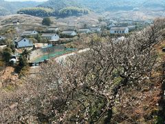 -原乡小镇度假乐园
