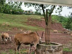 -梦幻奥陶纪景区