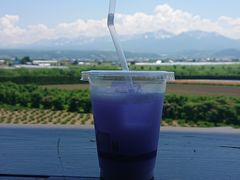 -富田农场