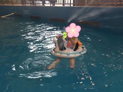 -横琴湾水世界