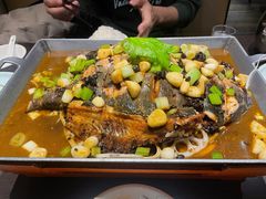 鲶鱼-沁香缘巫山烤鱼(看丹桥店)
