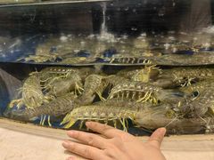 -海景壹号大酒店(滨湖店)