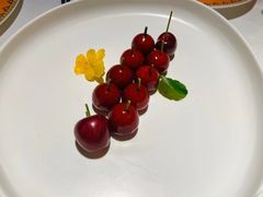 -鹿园 MOOSE(长宁店)
